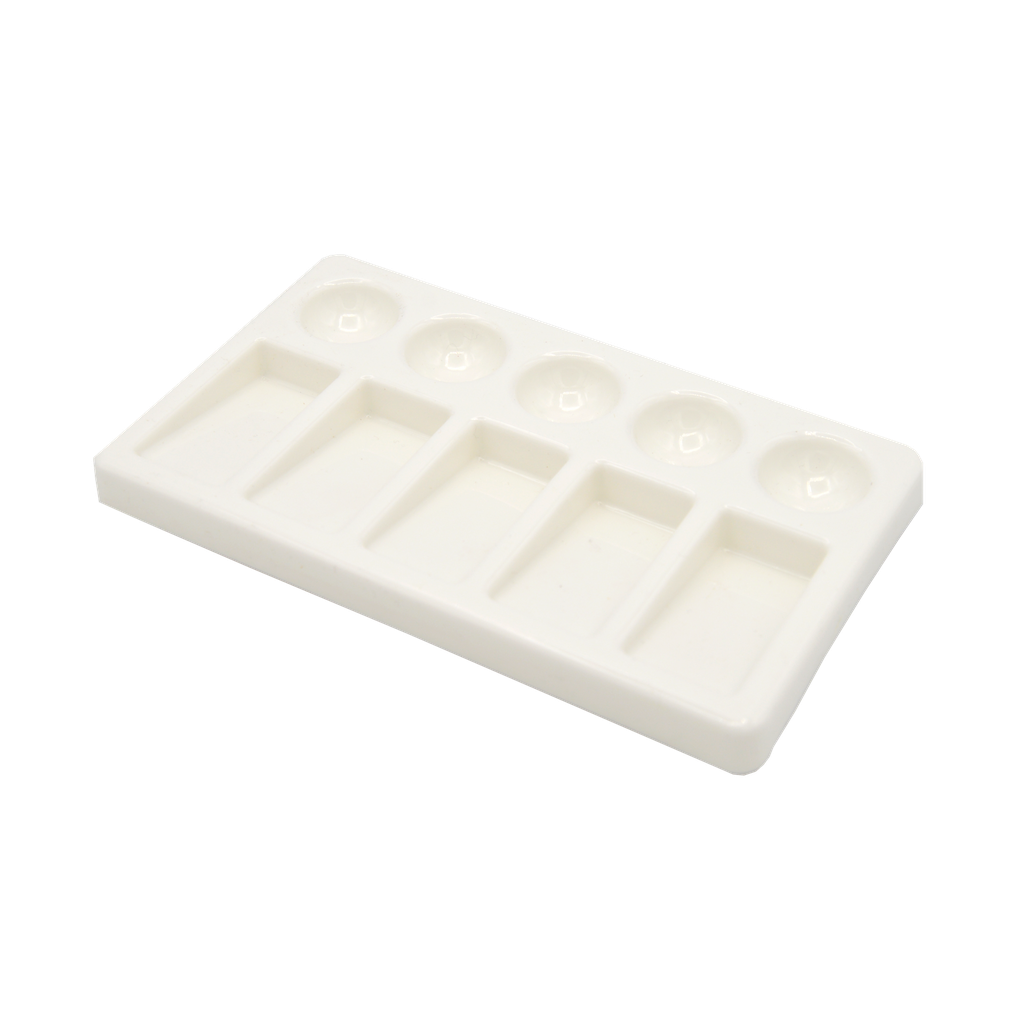 [FC 404-90] Palette rectangulaire en plastique à 10 puits (5 puits, 5 inclinaisons) FC40490